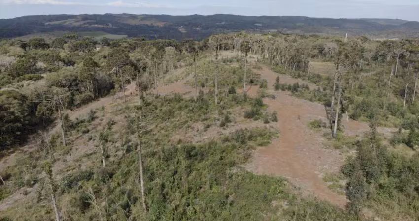 Chácara / sítio à venda na Área Rural de Guarapuava, Guarapuava 