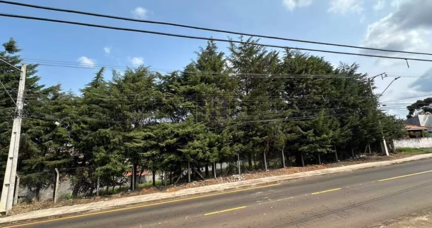 Terreno para Venda em Guarapuava, Boqueirão