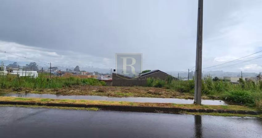 Terreno para Venda em Guarapuava, Alto Cascavel