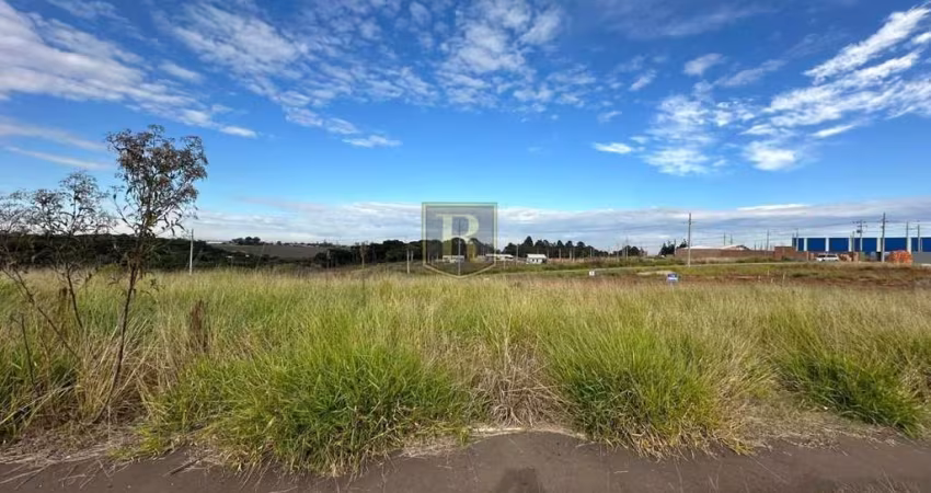 Terreno para Venda em Guarapuava, Morro Alto
