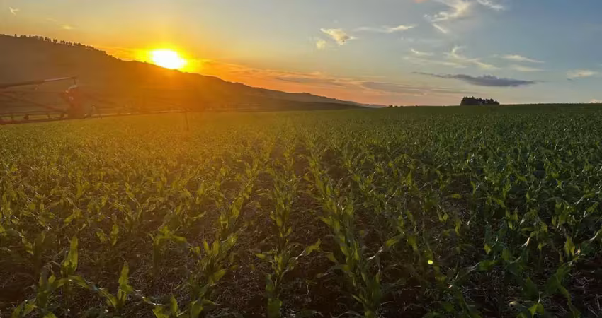 Fazenda à venda na Zona Rural, Goioxim 