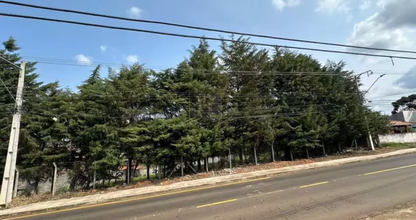 Terreno à venda na Rua Leonardo Coblinski, Boqueirão, Guarapuava