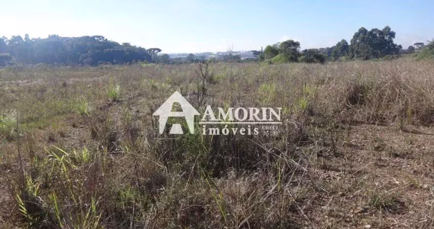 Terreno à venda, 12542 m  - thomaz coelho - araucária pr
