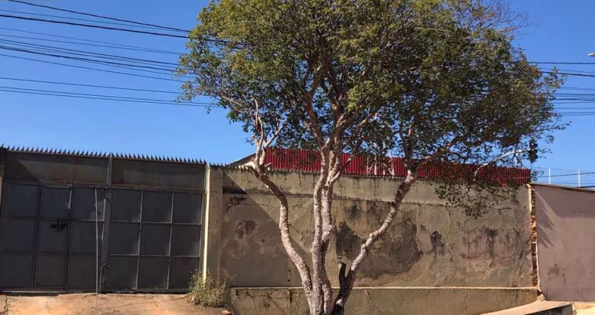 Terreno único com localização estratégica numa das mais importantes avenidas da cidade. Bairro: Alto