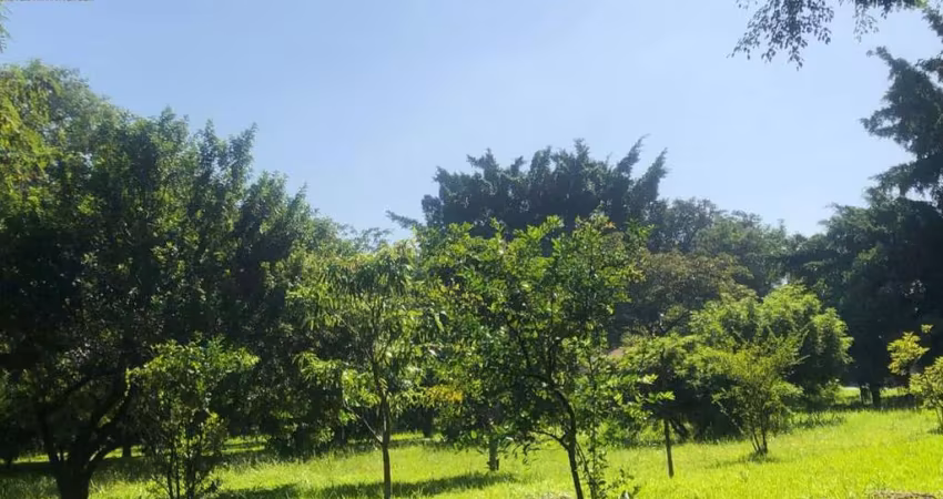Terreno plano em rua calma e arborizada. no bairro Nova Piracicaba