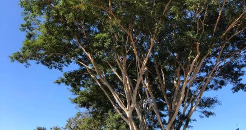Terreno plano bem localizado no bairro Mário Dedini