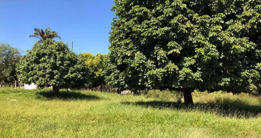 Terreno plano bem localizado no bairro Mário Dedini