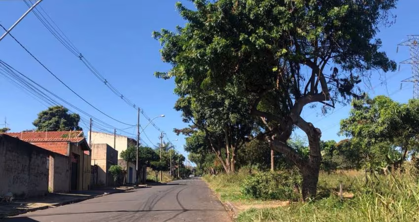 Terreno plano, ótima localização no Bairro Mário Dedini