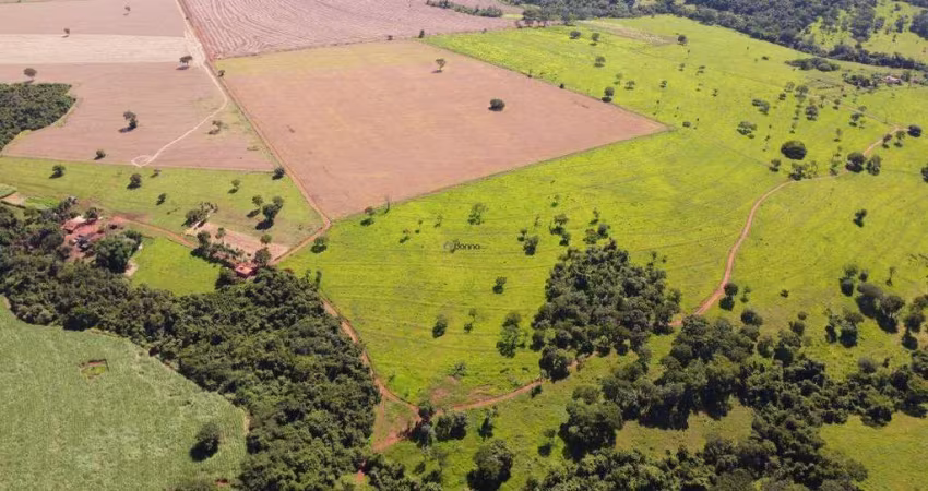 Sitio em Uberaba rico em água