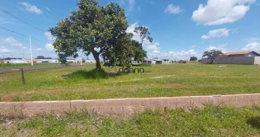04 Lotes Juntos no Laranjeiras