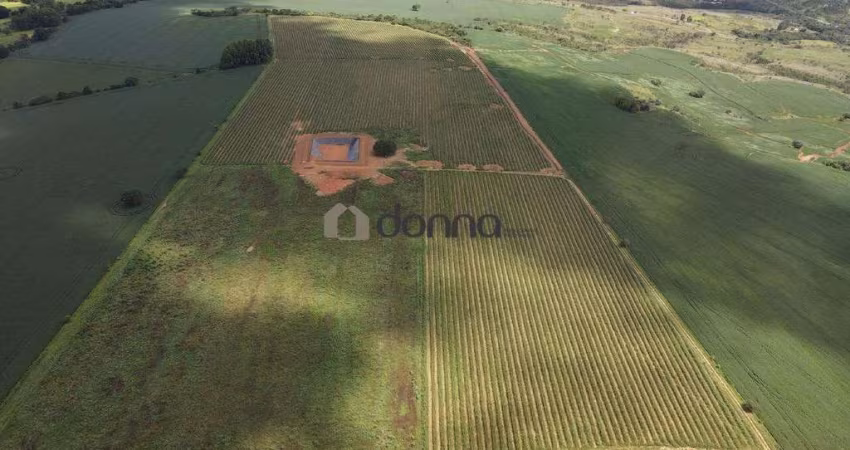 Fazenda para Café - 8,5 km de Sacramento