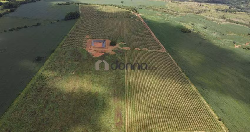 Fazenda para Café - 8,5 km de Sacramento