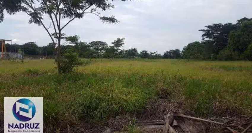 Area para vender, area comercial, frente rodovia, proximo a rio preto, 10mil metros, plana, para fazer barracão