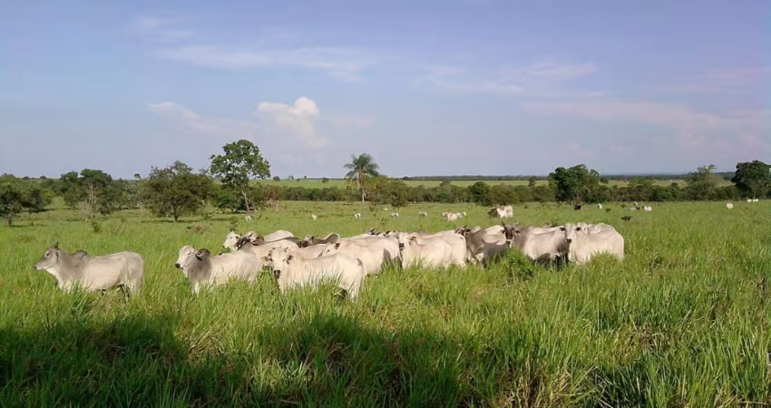 Linda fazenda a venda Porto Esperidião MT