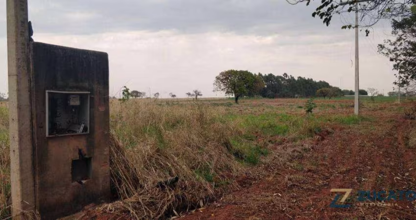 Área à venda, 10000 m² por R$ 1.500.000,00 - Parque das Gameleiras - Uberaba/MG
