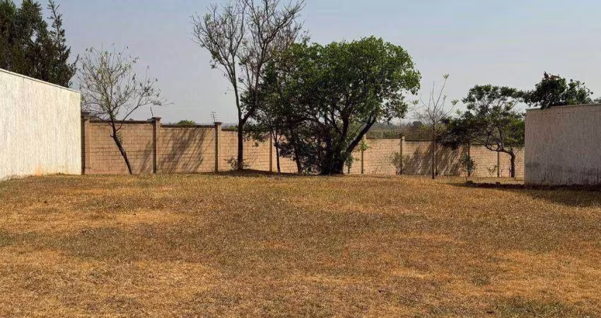 Lote Cyrela 1