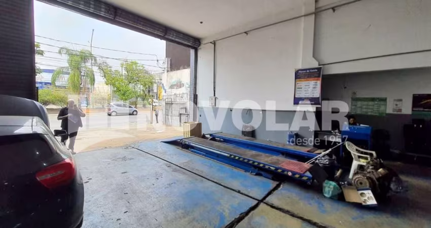 Loja com 440 metros quadrados de área construída, Vila Maria