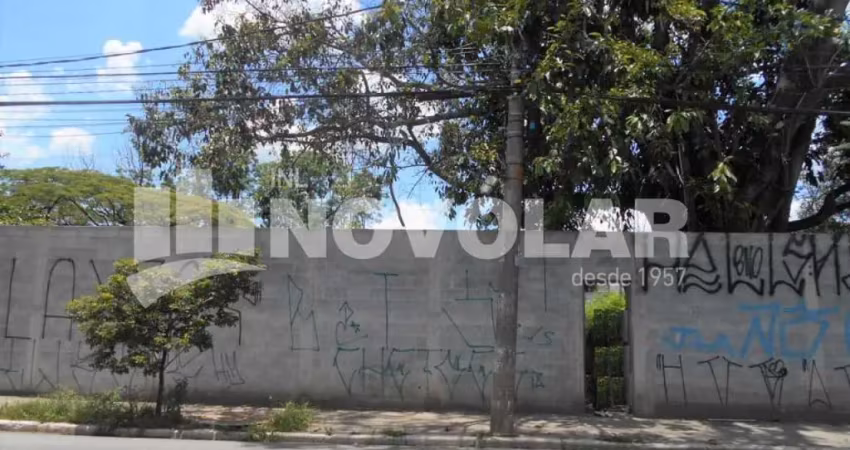 Terreno 3.700m² para alugar na vila guilherme ? em avenida principal
