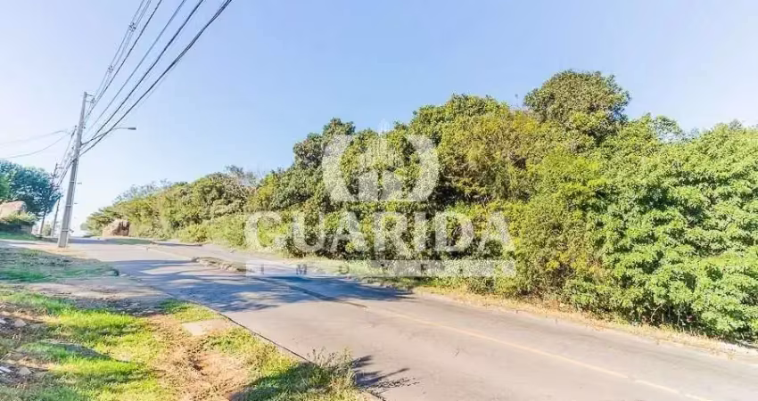 Terreno à venda na Estrada Cristiano Kraemer, 3111, Vila Nova, Porto Alegre