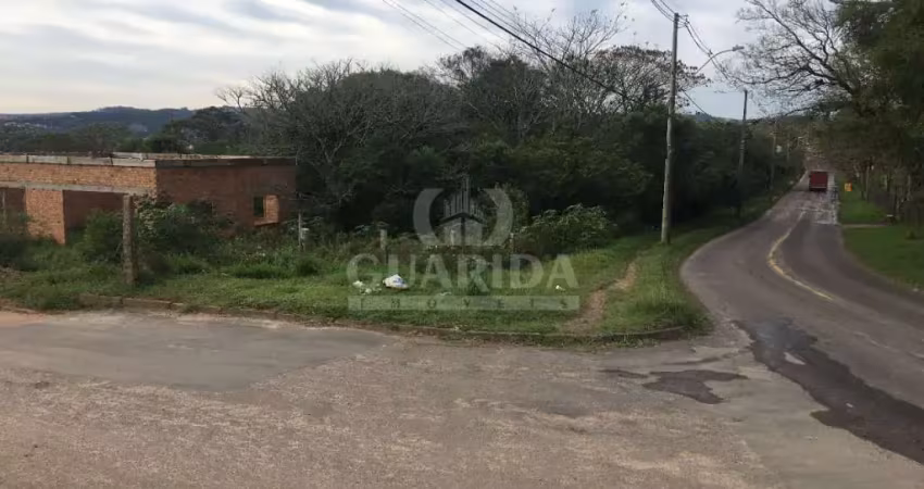 Terreno à venda na Estrada Cristiano Kraemer, 3035, Vila Nova, Porto Alegre