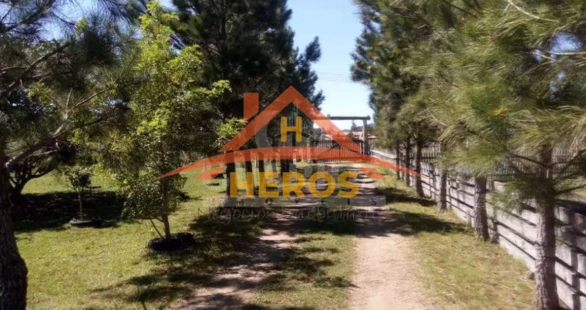 Chácara / sítio com 2 quartos à venda na Estrada Otaviano José Pinto, 5599, Lami, Porto Alegre