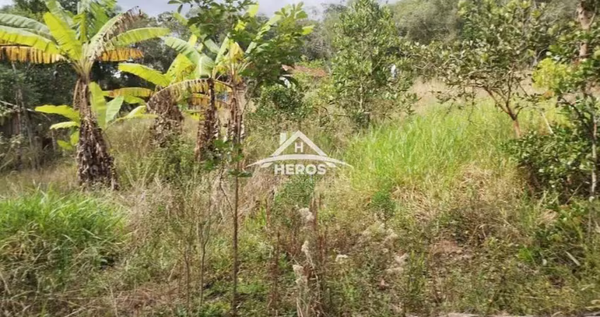Chácara / sítio à venda na Rodovia Coronel Acrísio Martins Prates, 7914, Fiuza, Viamão