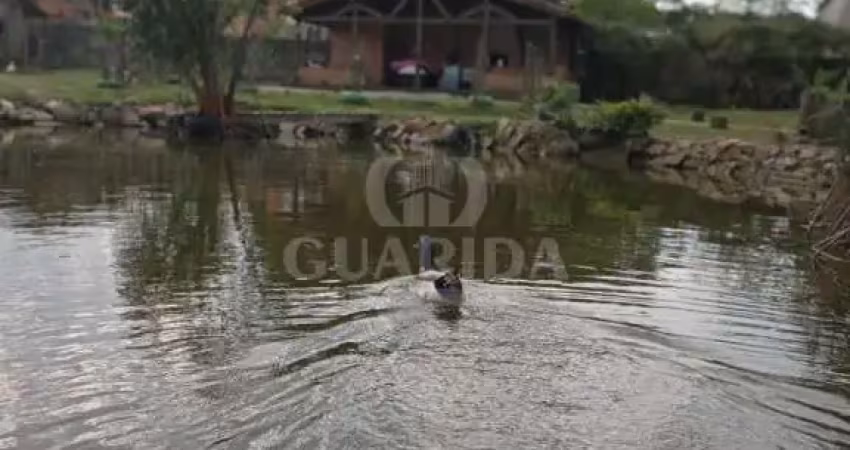 Chácara / sítio com 4 quartos à venda na Rua do Jesuíno, 590, Lageado, Porto Alegre
