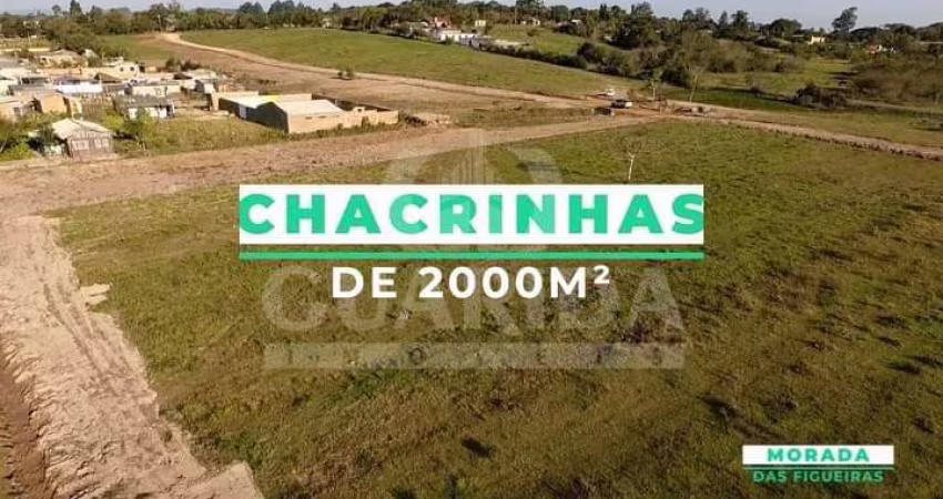 Chácara / sítio com 1 quarto à venda na Estrada Jacques da Rosa, 1750, Lageado, Porto Alegre