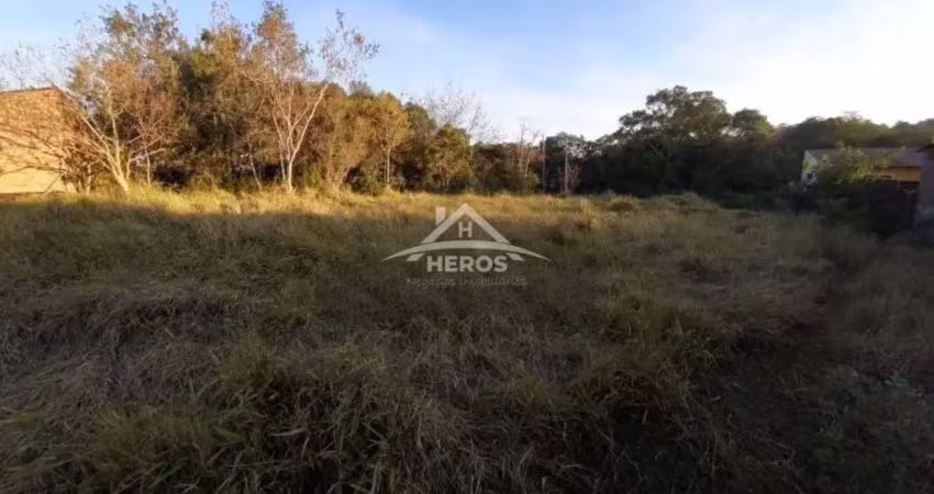 Terreno à venda na Rua Oito Mil Oitocentos e Quarenta e Cinco, 80, Lageado, Porto Alegre