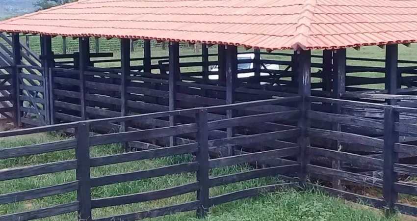 Vende-se fazenda no Município Coração de Jesus