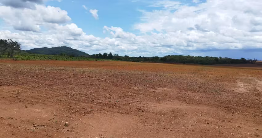 Fazenda em brejinho de nazaré á 23 km da 153 (rodovia belém/brasilia)