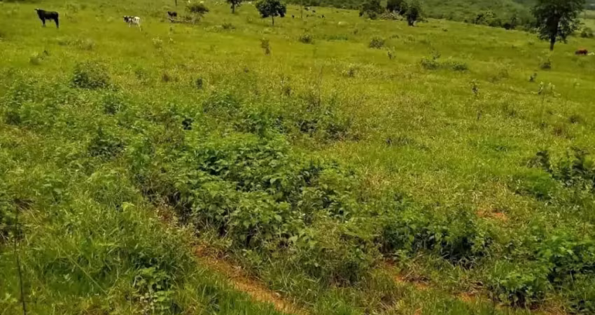 Fazenda à venda na Zona Rural, Veríssimo 