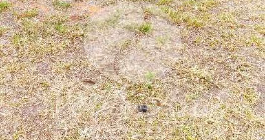 Terreno em condomínio fechado à venda na Avenida José Hoffmann, 212, Residencial Real Parque Sumaré, Sumaré