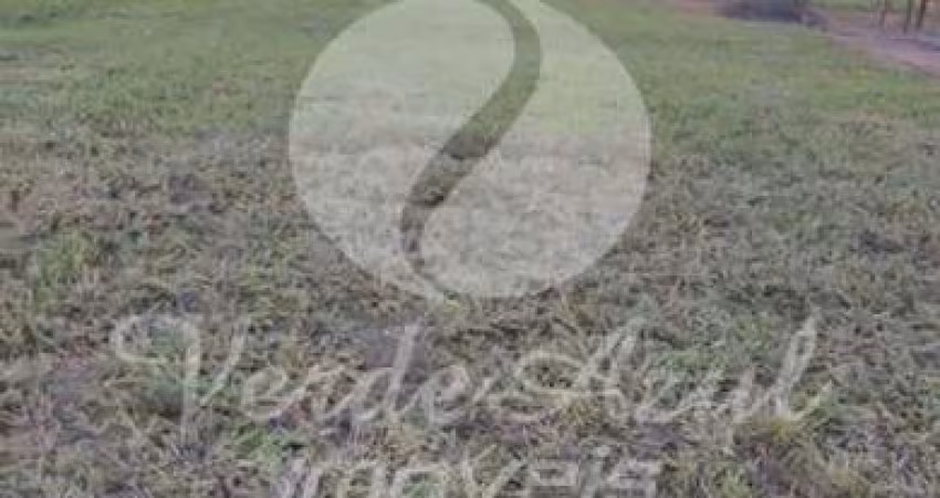 Terreno em condomínio fechado à venda na Avenida Antonio Artioli, 11, Swiss Park, Campinas