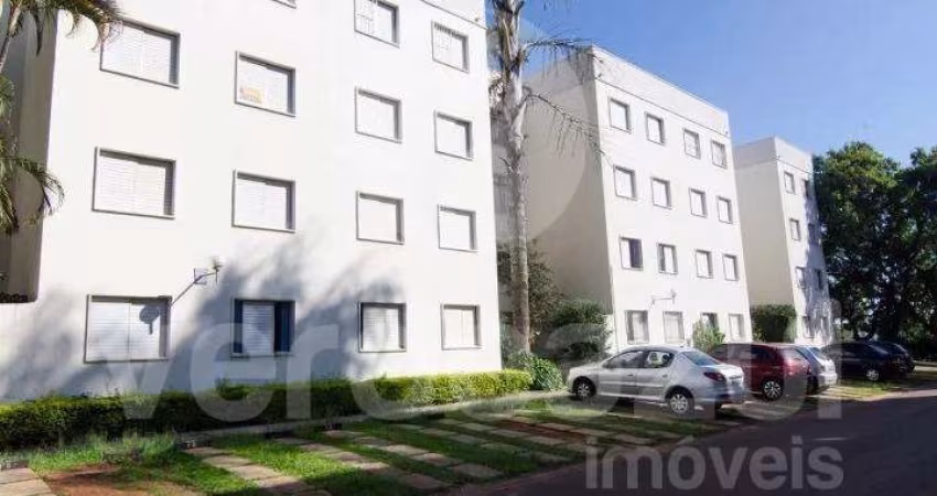 Apartamento com 2 quartos à venda na Rua Maestro Diogo Hugo Bratficher, 70, Jardim Miranda, Campinas