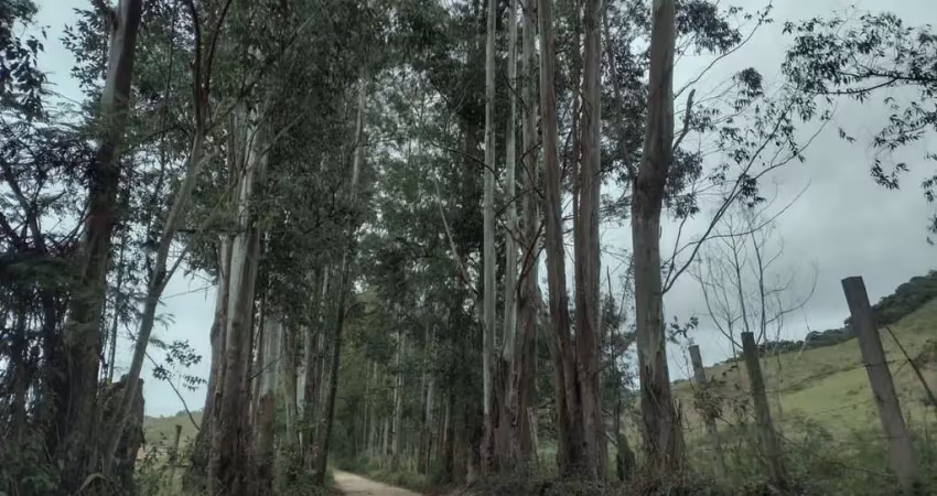 Fazenda à venda na Zona Rural, Chácara 