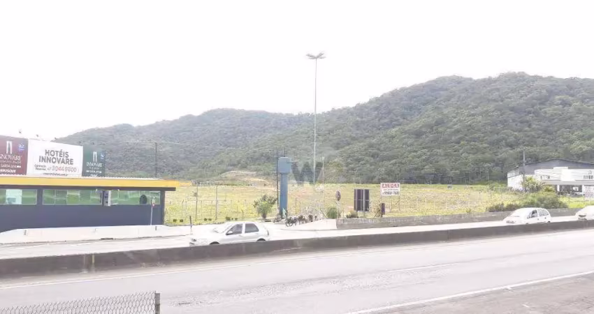 Terreno para alugar, 40000 m² por r$ 150.000/mês - várzea do ranchinho - camboriú/sc