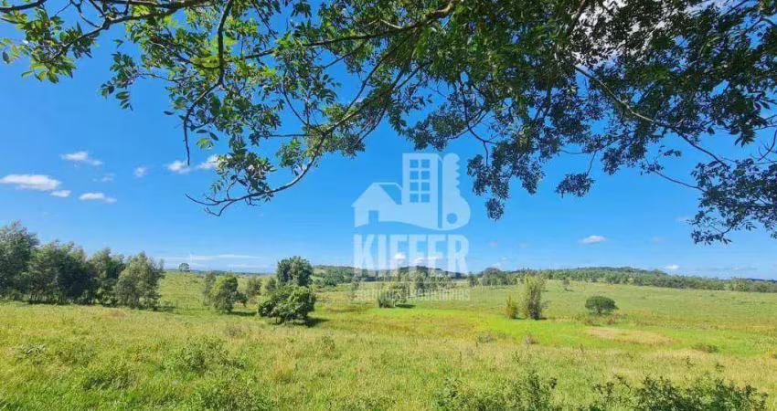 Fazenda com 1 sala à venda na Estrada São Vicente, 100, Fazendinha, Araruama