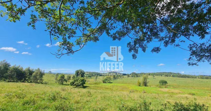 Fazenda com dois quartos à venda, 2565200 m² por R$ 9.500.000 - Fazendinha - Araruama/RJ
