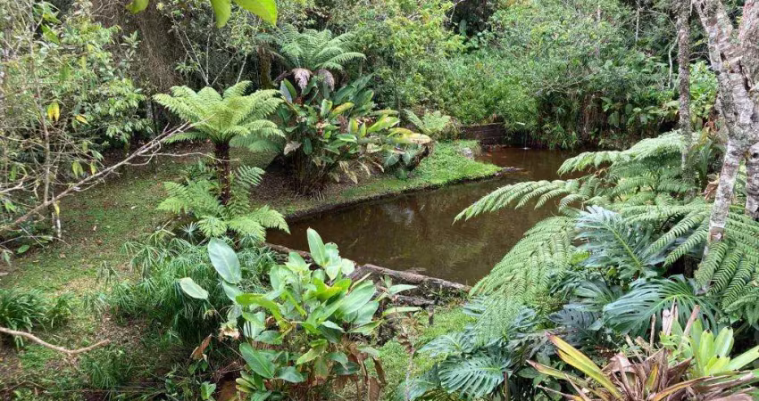 Sítio para venda em nova friburgo, são lourenço, 3 dormitórios, 1 banheiro
