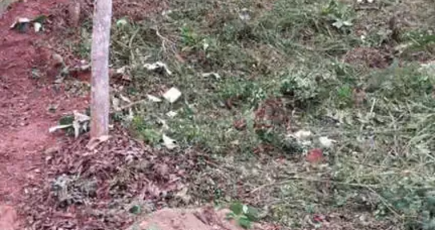 Terreno em condomínio para venda em teresópolis, albuquerque