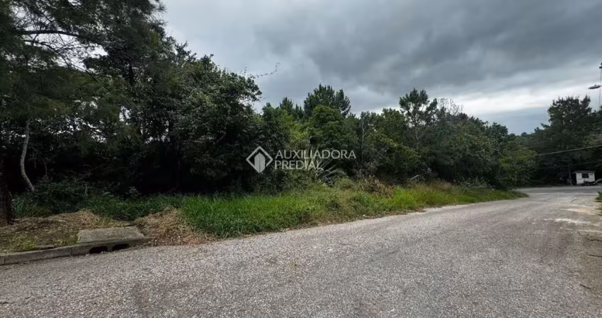 Terreno à venda na Rua Willy Kersten, 66, João Paulo, Florianópolis