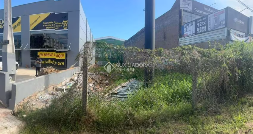 Terreno comercial à venda na Avenida Dorival Cândido Luz de Oliveira, 3399, COHAB C, Gravataí