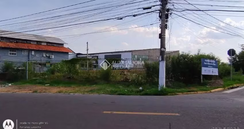 Terreno comercial à venda na Rua Otávio Schemes, 1102, Barnabé, Gravataí
