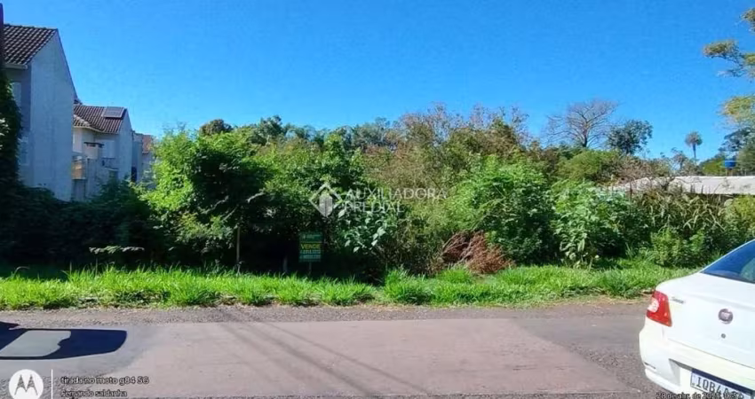 Terreno comercial à venda na Rua Aparício Soares da Cunha, 468, Vila Bom Princípio, Cachoeirinha
