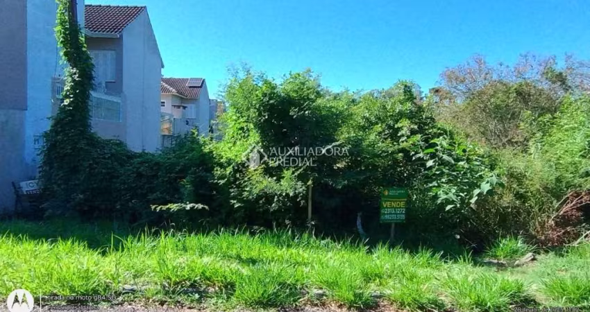 Terreno à venda na Rua Aparício Soares da Cunha, 546, Vila Bom Princípio, Cachoeirinha