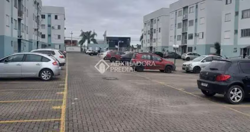 Apartamento com 2 quartos para alugar na Estrada Vânius Abílio dos Santos, 490, Santa Cruz, Gravataí