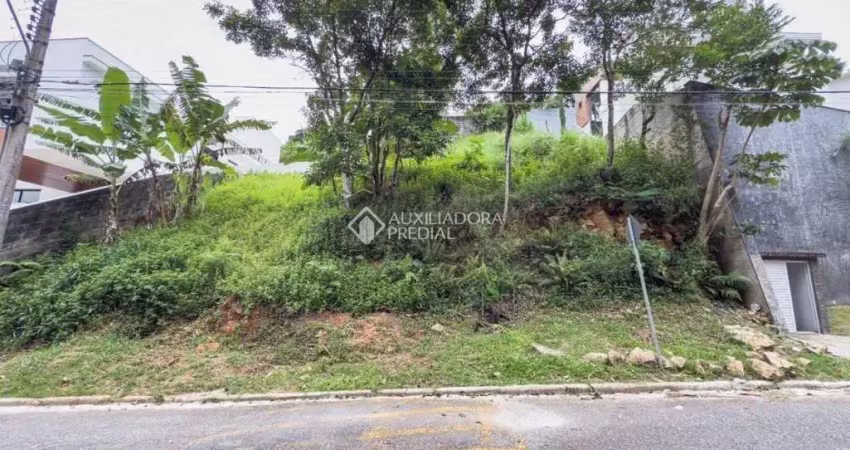 Terreno em condomínio fechado à venda na Rua das Palmeiras, 200, Bosque das Mansões, São José