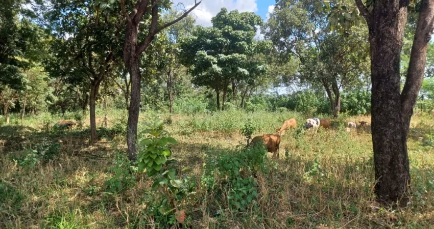 Lote Aeroporto Sul Aparecida de Goiânia