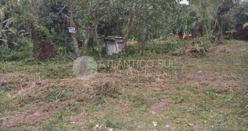 Terreno à venda ótima localização, guaraguaçu,  pontal do parana - pr